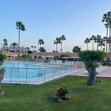 Santafe Paradise 84 *